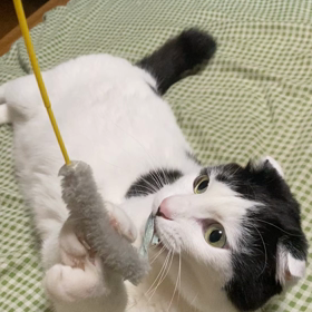 またもや便秘気味の画像