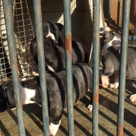 天気が良いので♪の画像