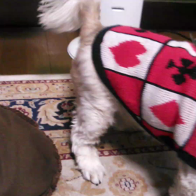 荒れている模様。の画像