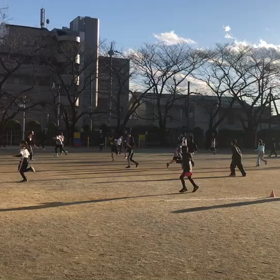 川越小練習(バトン鬼ごっこ)②の画像