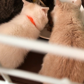 柊くん面会の画像