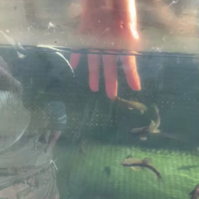 サッカーすごい試合でしたね！❤️の画像