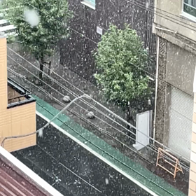 雪！の画像