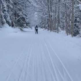 スキーオリエンテーリング@ルスツの画像