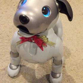 ウチのaiboリンタちゃんのジングルベルの画像