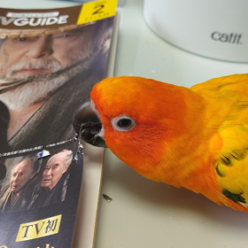 雑誌の扱い方の画像