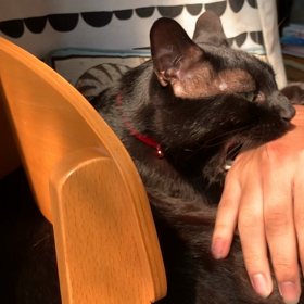 ごきげんななめ。の画像