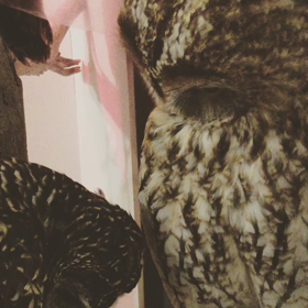 撫でて〜の画像