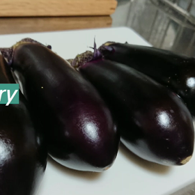 今日の収穫の画像