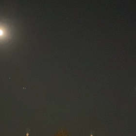 怪盗百二十面相からのメリークリスマス☆花1☆の画像