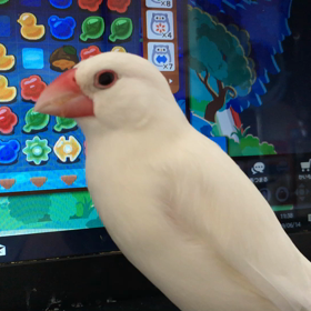 ごきげんの画像