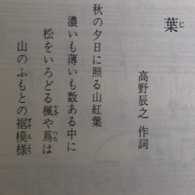 紅葉（歌・ソロ）の画像