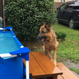 アスリート    ココ  動画の画像