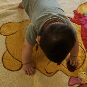 引越し前に這いそうwの画像