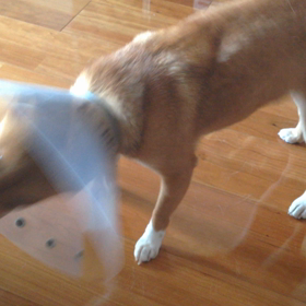 2015年9月25日の画像