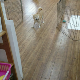 リキくんとナナちゃんの画像