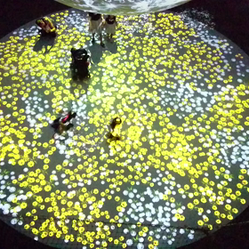 ニフレフ④の画像