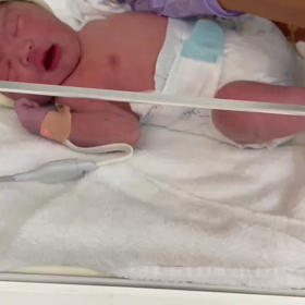 ついに産まれた！！＼(^o^)／の画像