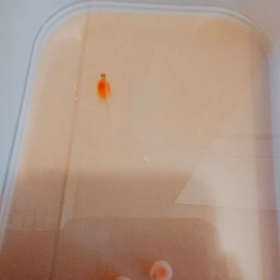 療育27回目の画像