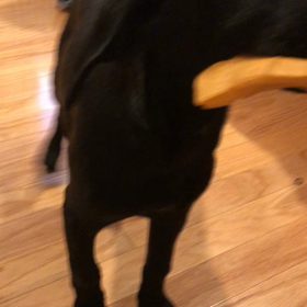 可愛いから、ま、いいか！の画像