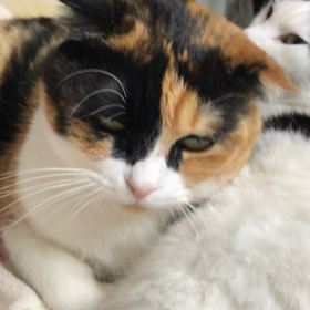 まあ良しの画像