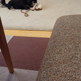 体内時計？の画像