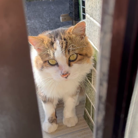 たわむれる(=´∀｀)人(´∀｀=)の画像