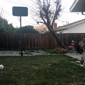 千本ノックの画像