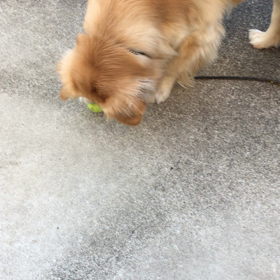 今日のレオ   1・10   もしかして…の画像