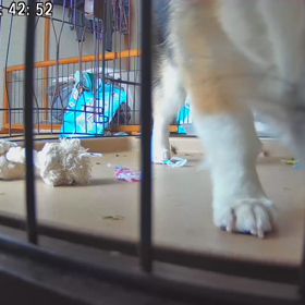 犯行現場の画像