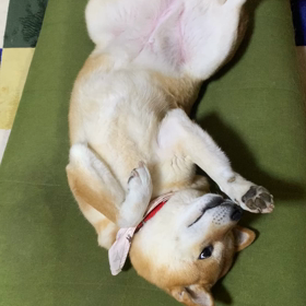 なに撮ってんのよ！の画像