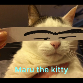 さよなら丸ちゃんの画像