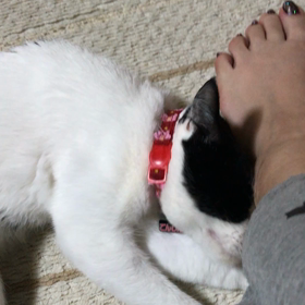 足の匂いの画像