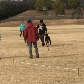 ブリオ2023/02/12の画像