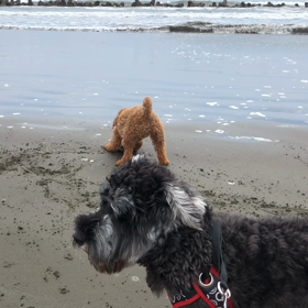 見つけた!! （╹◡╹）の画像