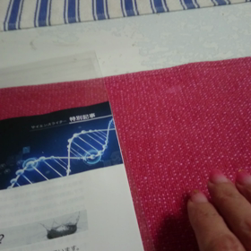 文鳥に怒られてますの画像