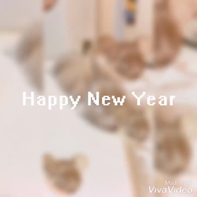 今年もよろしくお願いしますの画像