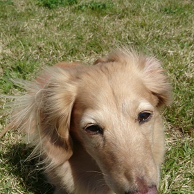 気持ちいい～の画像