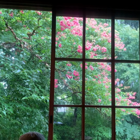 気になるカフェとピアノの発表会♬の画像