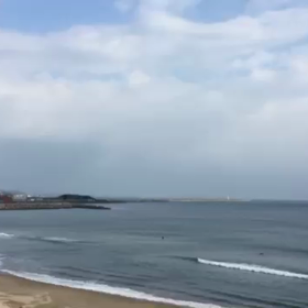 本日の波！の画像