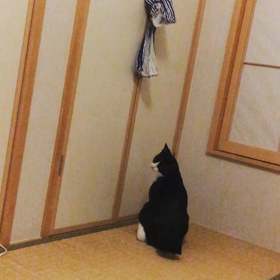 押入れ開けられますの画像