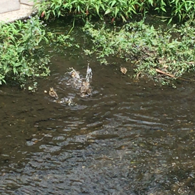 命は廻るからの画像