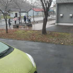 どこの子達だろう⁉️の画像