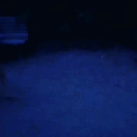 夜の散歩！の画像