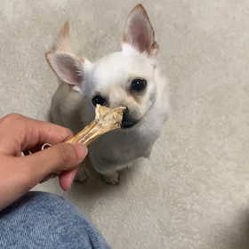 好きなものには貪欲の画像