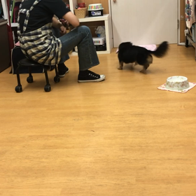 レイチ編。の画像