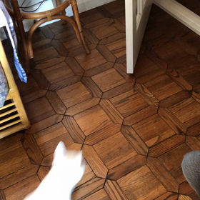 さむいから　だっそうやーめたの画像