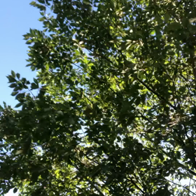 髪型／動画の画像