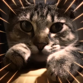 すずしい朝ですの画像