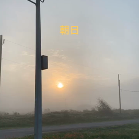1時間損した気分。朝日と鳥のさえずり。の画像